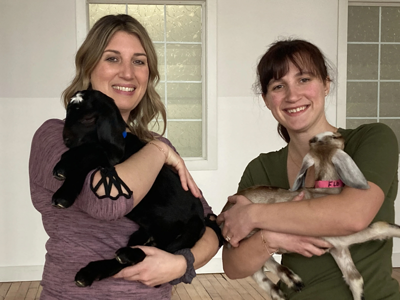 Community driven banking during Goat Yoga