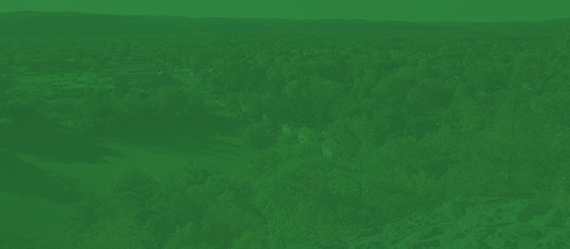 green background community image